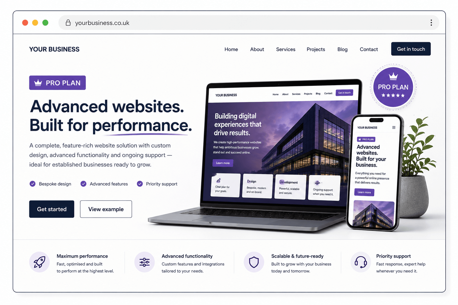 Pro Plan website preview